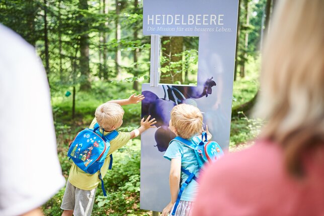 Kinder beim Info-Schild zur Heidelbeere am Kräuterwanderweg | © SONNENTOR/@nudlholz.at