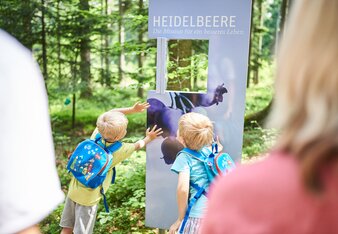 Kinder beim Info-Schild zur Heidelbeere am Kräuterwanderweg | © SONNENTOR/@nudlholz.at