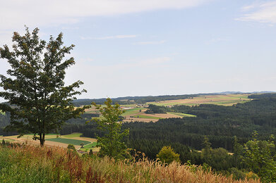 Aussicht vom Kräuterwanderweg | © SONNENTOR