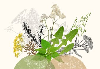 Kräuterfreunde für die Fastenzeit | © SONNENTOR