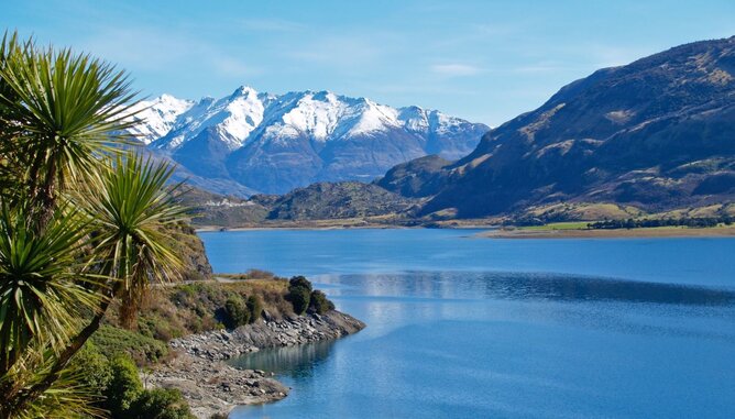 Photo of a nature reserve in New Zealand. | © SONNENTOR