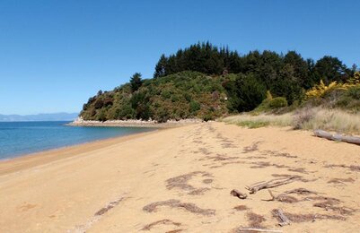 Photo of the landscape in New Zealand by the sea. | © SONNENTOR