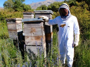 In the photo you can see a beekeeper standing next to beehives. | © SONNENTOR