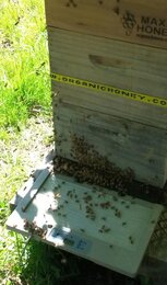 The photo shows a panel with electric pulses in front of a beehive. | © SONNENTOR