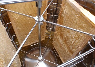 The photo shows a centrifuge with honeycombs in it. | © SONNENTOR