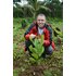 Photo of a man with a turmeric plant.