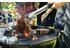 In the photo you can see two steaks being grilled. Behind them at the table are several barbecue spices.