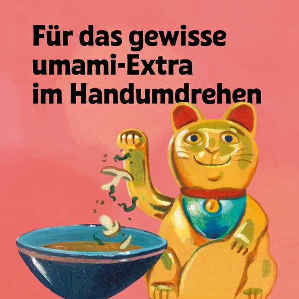 Illustration of a waving cat with a bowl on a pink background and the words: ‘For that extra umami kick in no time at all’.