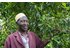 A photo of a man standing next to a cloves tree.