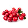 Preiselbeeren bio