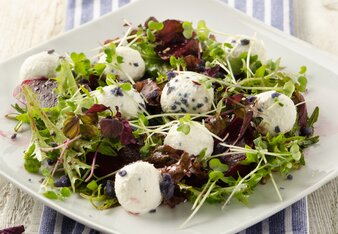 Auf dem Foto sieht man Ziegenfrischkäse Bällchen auf Salat, Sprossen und Rote Rüben. Darüber ist feiner Lavendel gestreut. | © SONNENTOR