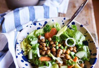 Auf dem Foto ist ein Schüssel mit buntem Salat und gerösteten Kichererbsen zu sehen. Dahinter steht eine Petersilienpflanze. | © SONNENTOR