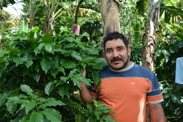 Photo of a farmer next to a bush. | © SONNENTOR