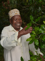 Photo of a man looking closely at the leaves of a shrub. | © SONNENTOR