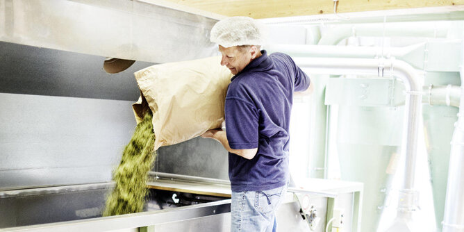 The photo shows a man emptying a bag of herbs into a tub. | © SONNENTOR