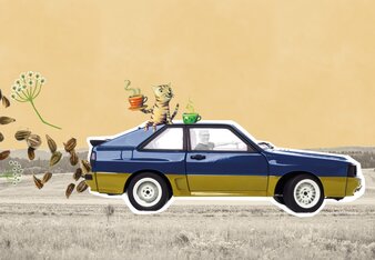 Auf dem Foto sieht man Hannes in einem 1993 Audi Quattro in den Farben blau/beige, aus dem Auspuff kommt Kümmel und Blumen. Das ganze ist eine Collage.  | © SONNENTOR