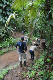 Photo of several people on the way to the turmeric field. | © SONNENTOR