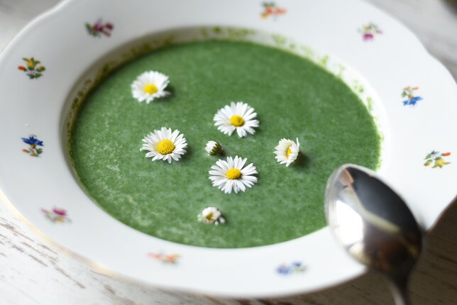 Auf dem Foto sieht man einen Teller Wildkräutersuppe. Darin sind Gänseblümchen zu sehen. | © SONNENTOR